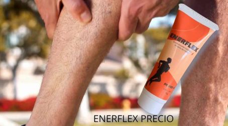 Componentes De Enerflex